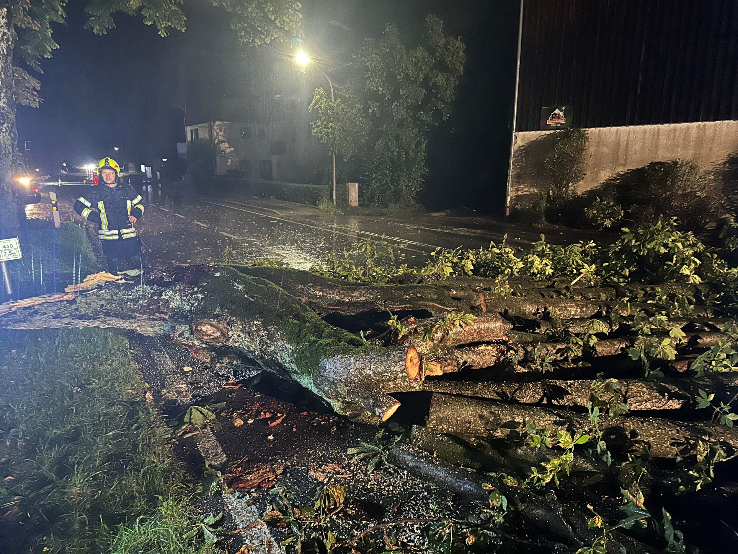 Baum versperrt ST2095 in Kraimoos bei Erlstätt