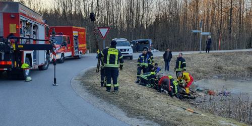 Feuerwehr hilft Pferd in Nöten