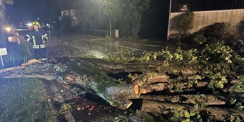 Baum versperrt ST2095 in Kraimoos bei Erlstätt