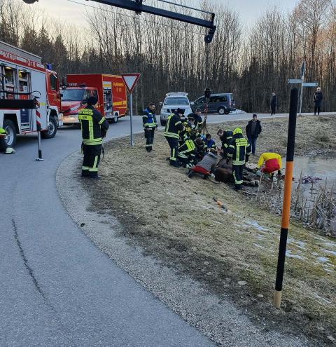 Feuerwehr hilft Pferd in Nöten