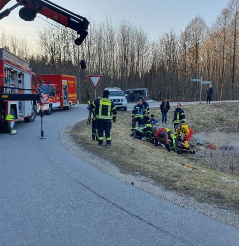 Feuerwehr hilft Pferd in Nöten