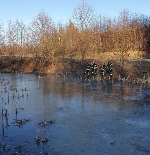 Feuerwehr hilft Pferd in Nöten