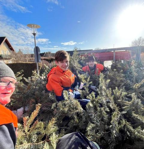 130 ausgediente Christbäume sammelten die fleißigen Jugendfeuerwehrler ein