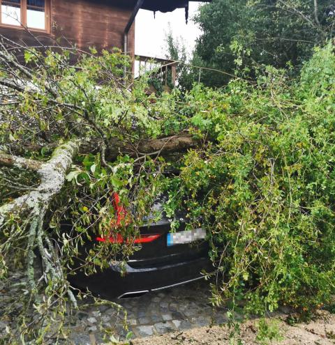 Ising - Baum auf Pkw - niemand verletzt  