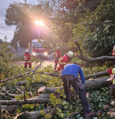 Einsatz für Feuerwehr Surberg - Technische Hilfeleistung Unwetter