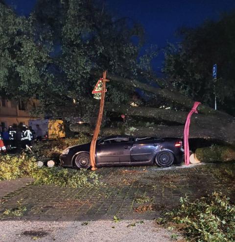 Traunreut, Baum auf Pkw, keine Insassen im Fahrzeug