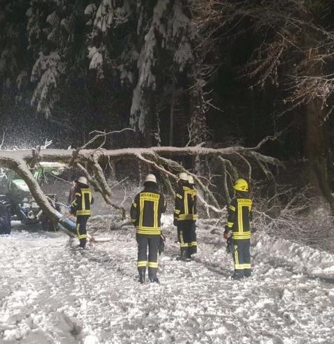 Heiligkreuz - Ein Traktor half der Feuerwehr bei der Baumbeseitigung