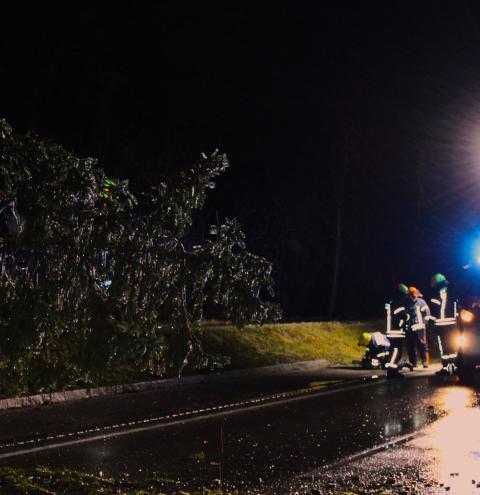 Keine ruhige Nacht für die Feuerwehr Kammer