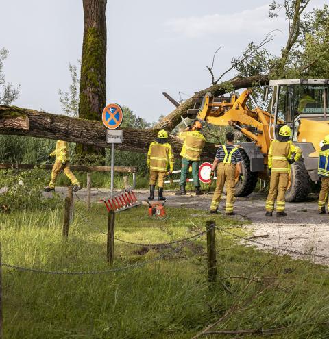 Feuerwehr Übersee konnte auf einen Radlager zurückgreifen, um einen umgestürzten Baum von der Julius-Exter-Promenade zu beseitigen.